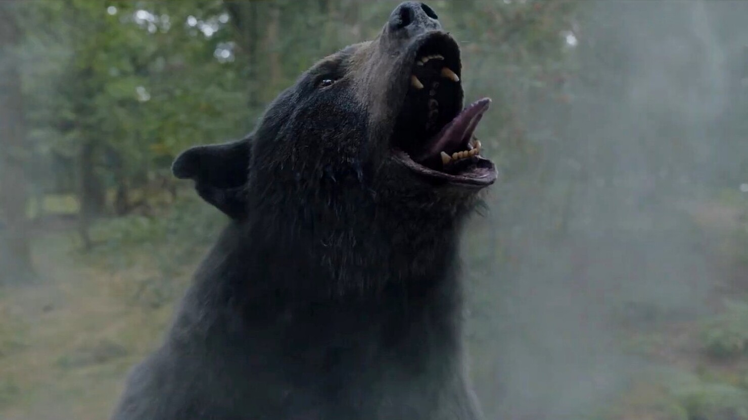 Кровь, медведь и наркота в трейлере комедийного триллера "Кокаиновый медведь"