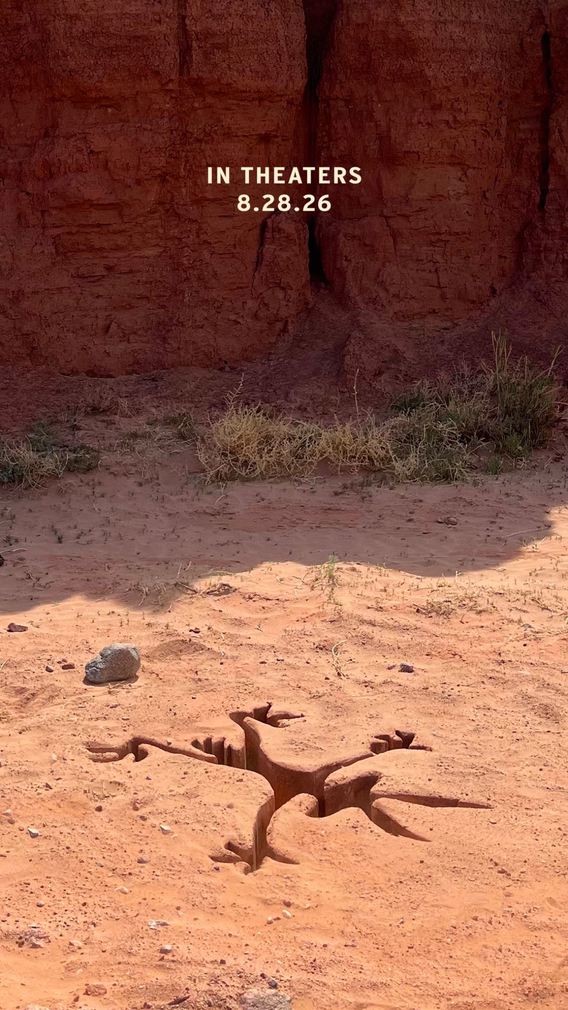 Койот против „Акме“, постер № 1