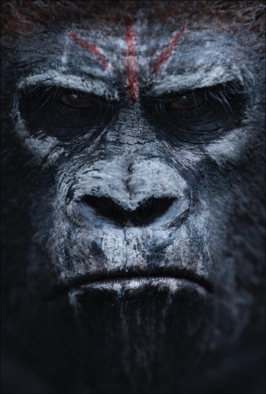 Планета обезьян: Революция, постер № 2