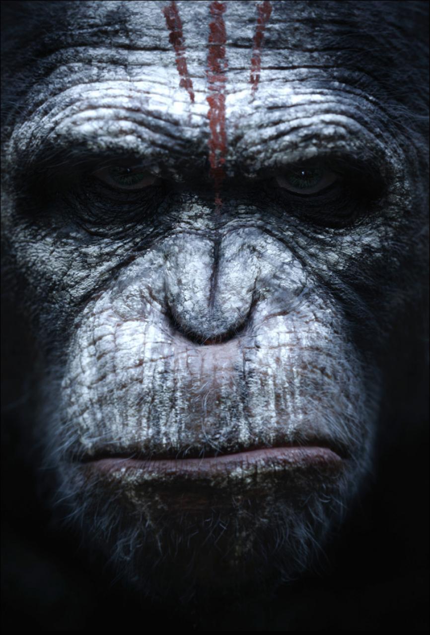 Планета обезьян: Революция, постер № 3