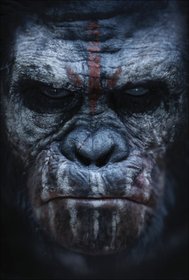 Постеры фильма «Планета обезьян: Революция»