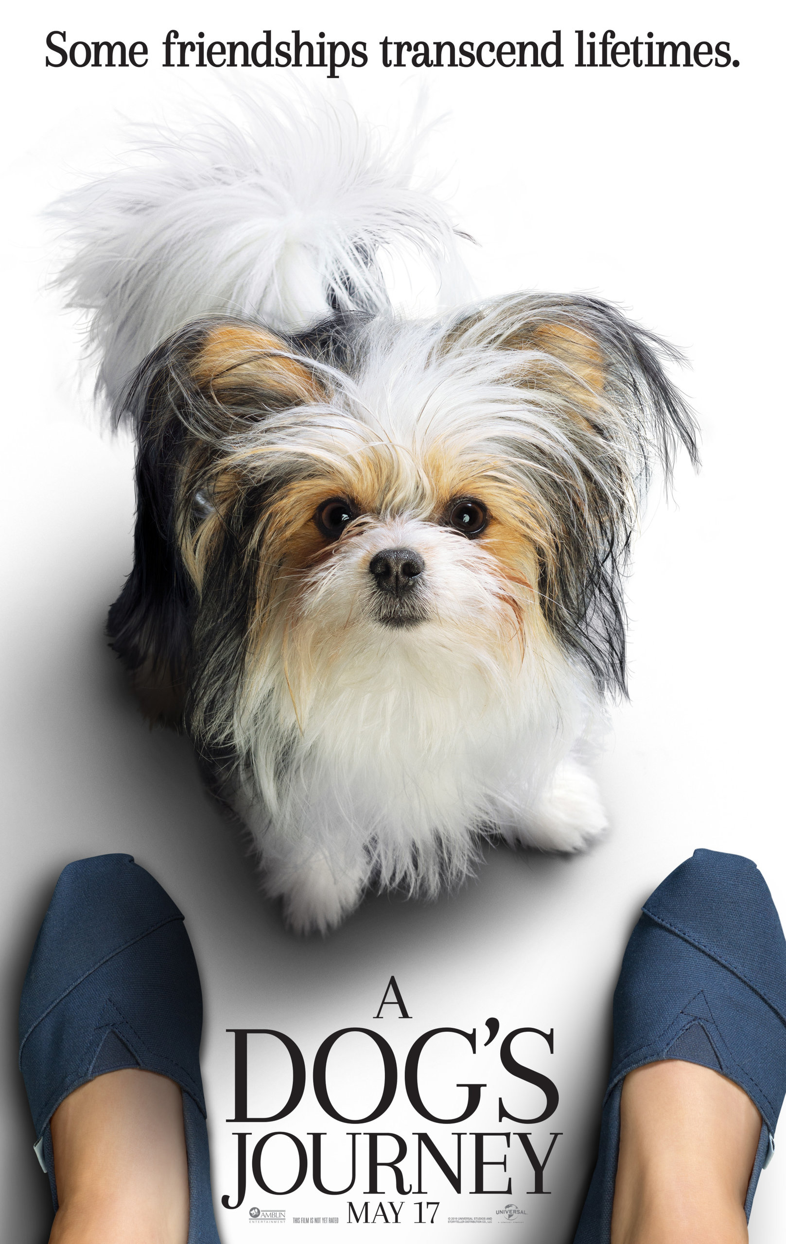 Собачья жизнь 2, постер № 2