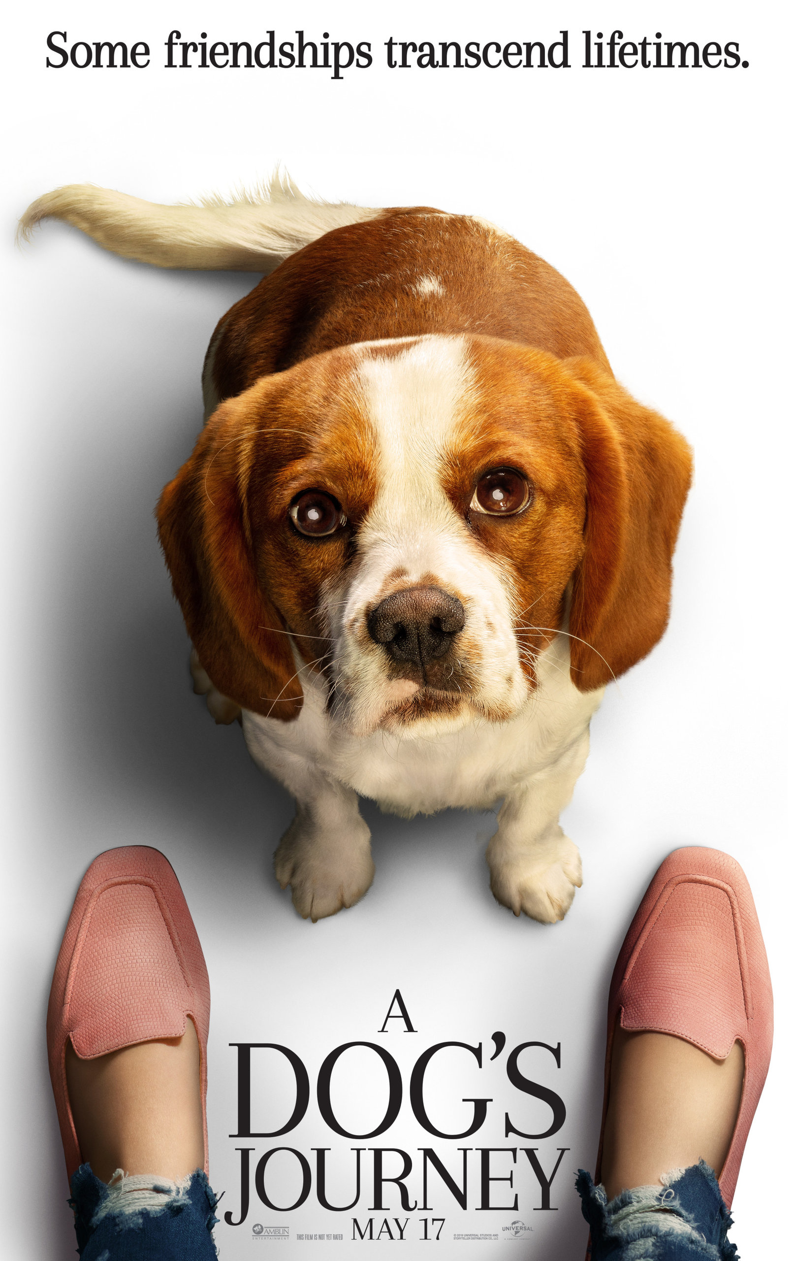 Собачья жизнь 2, постер № 3