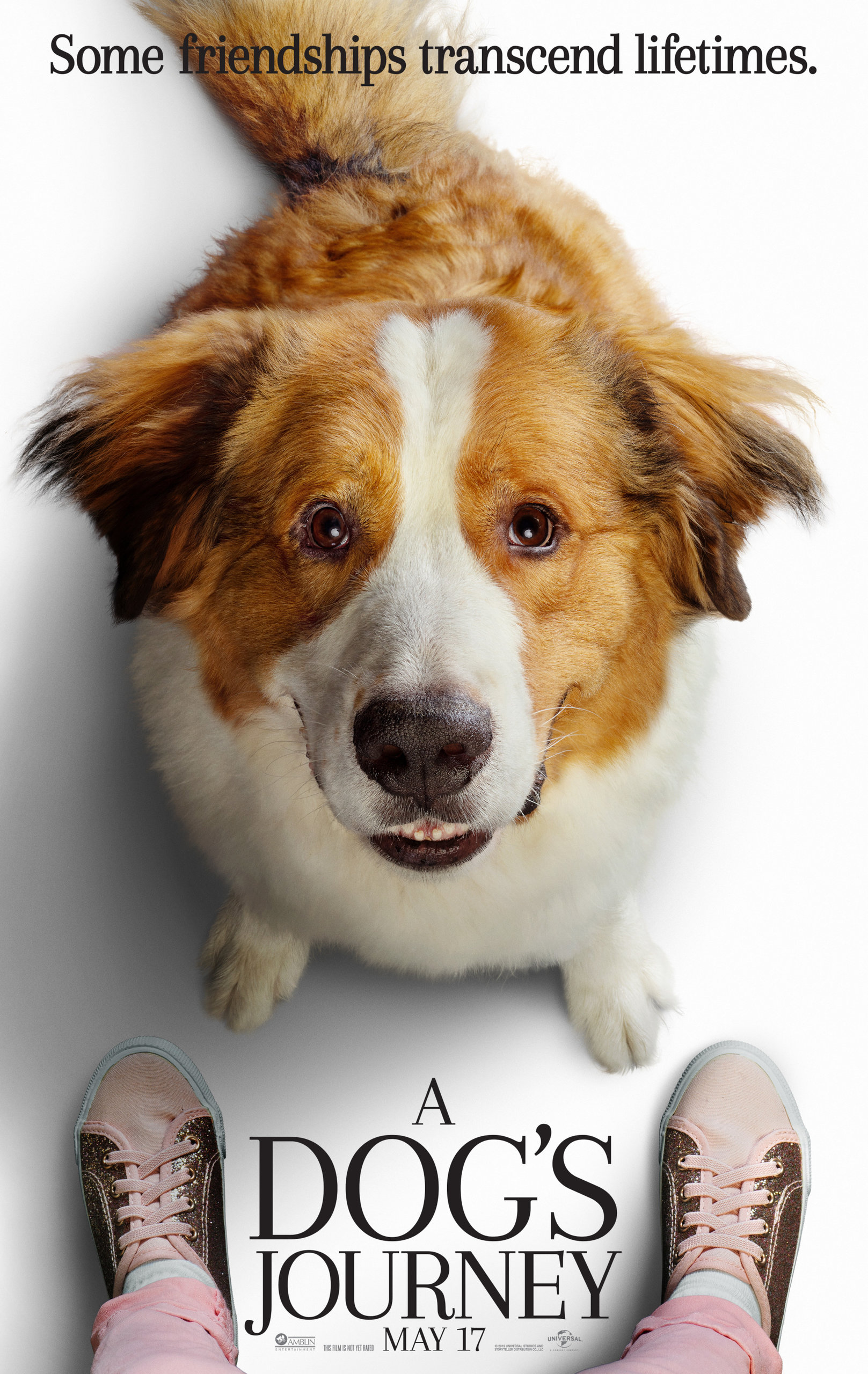 Собачья жизнь 2, постер № 4