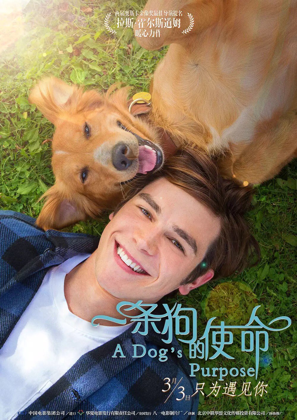 Собачья жизнь, постер № 14