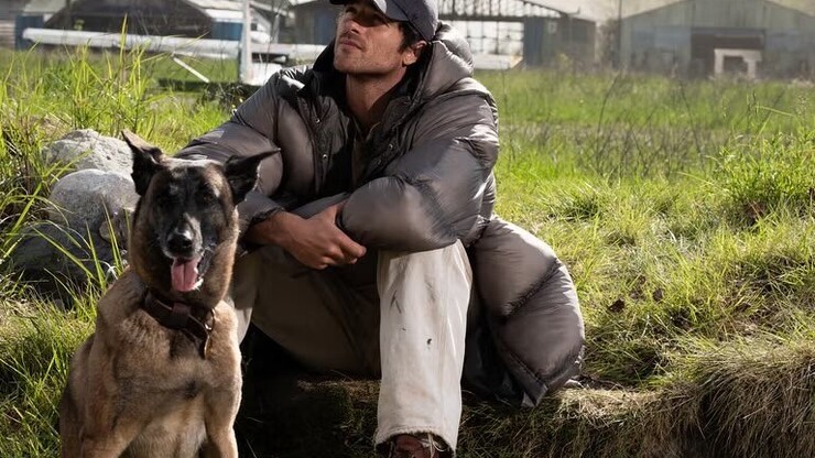 Источник: 20th Century