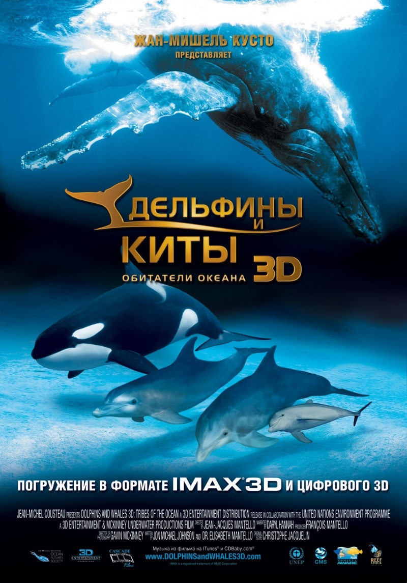 Дельфины и киты: Океанские племена 3D, постер № 1