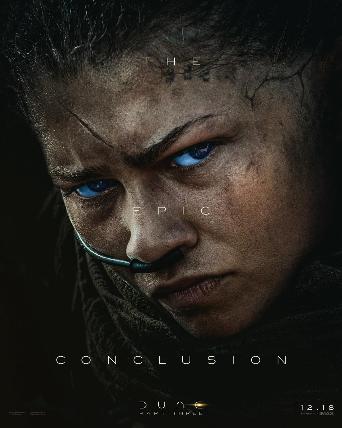 Дюна: Часть 3, постер № 8