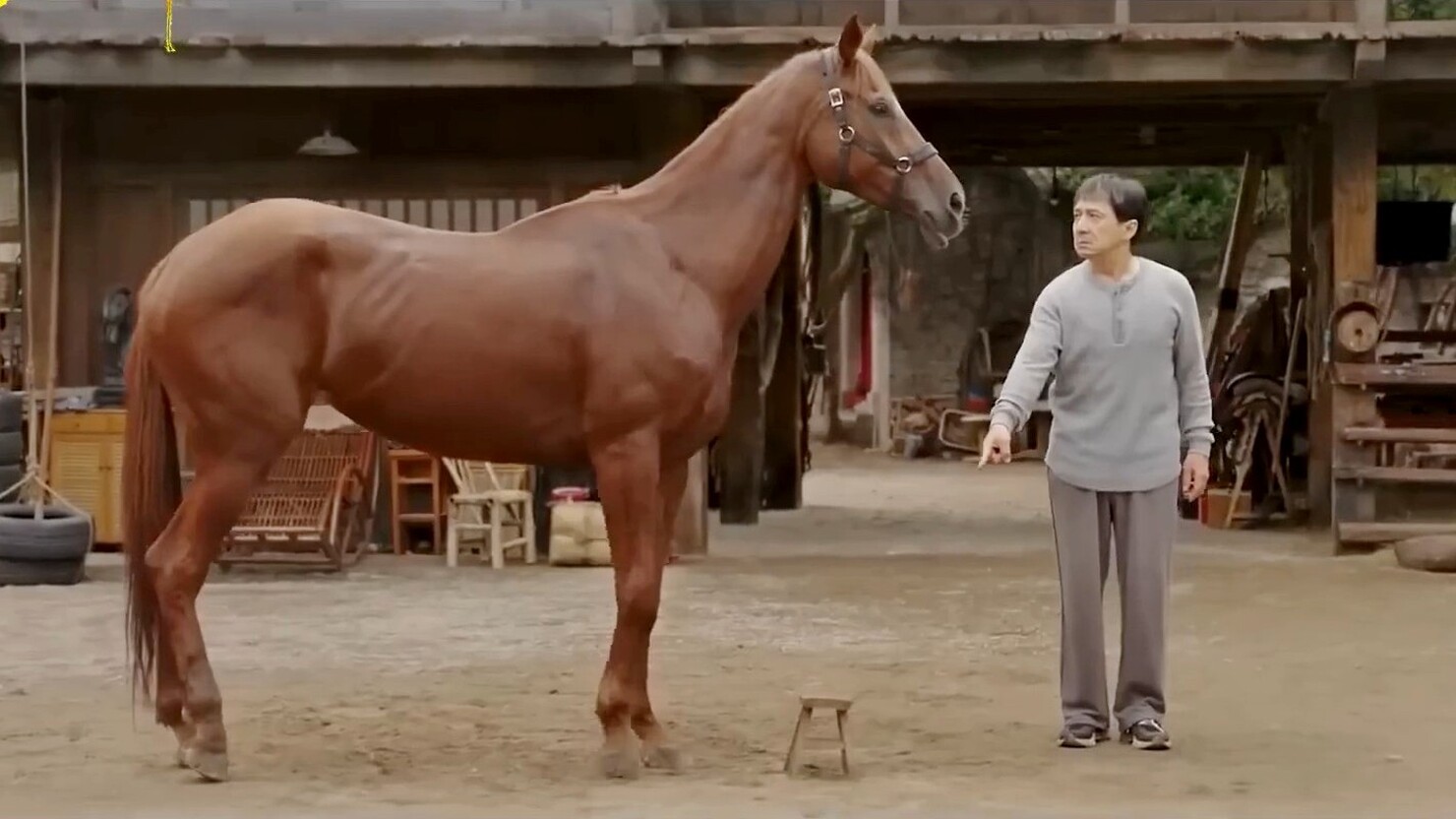 Джеки Чан на коне — трейлер и постер драмеди "Кунг-фу жеребец"
