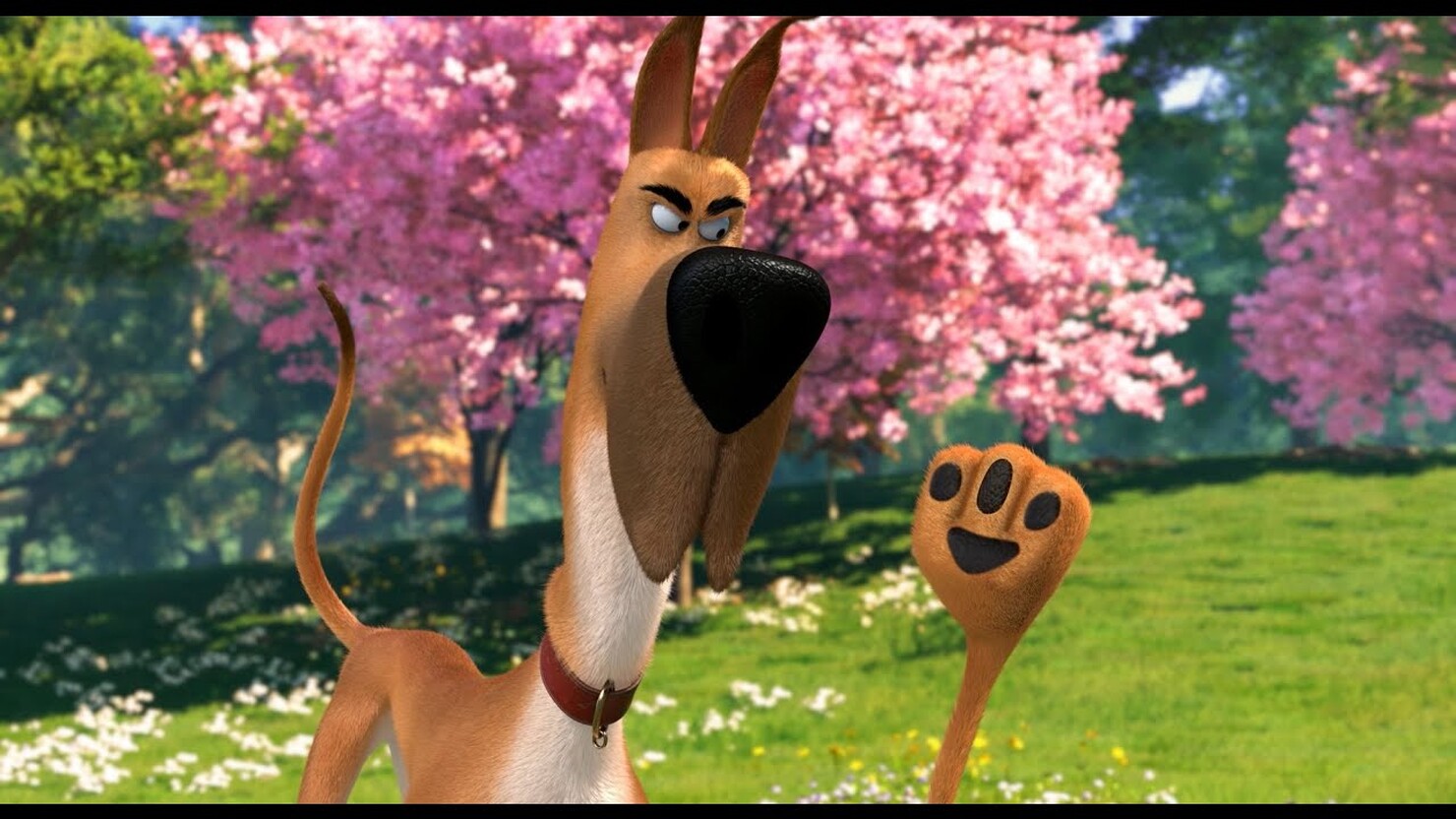 «Мармадюк» / Marmaduke (2023) — все трейлеры фильма КГПортал