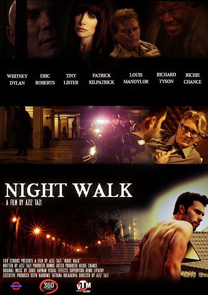 Ночная прогулка, постер № 1