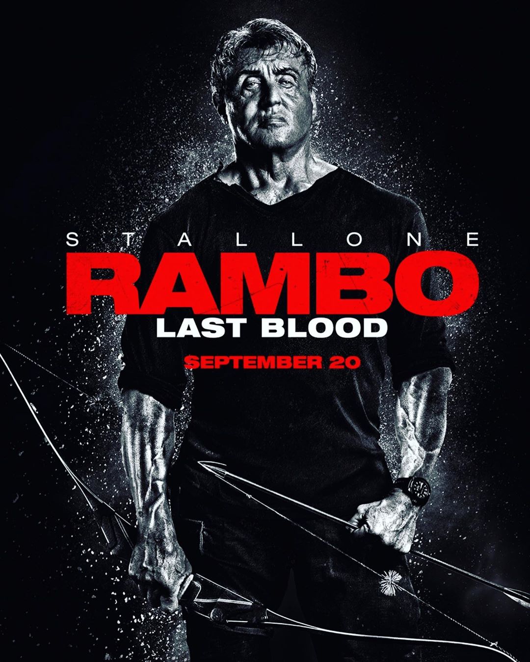 Рэмбо: Последняя кровь, постер № 5