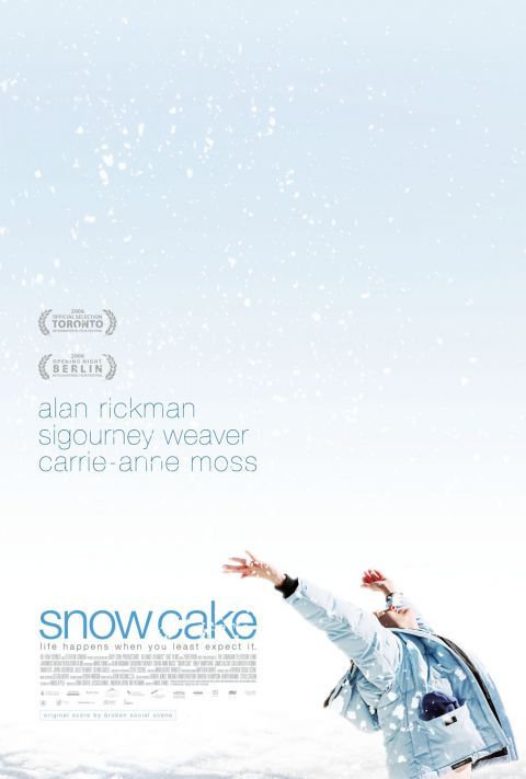 Снежный торт, постер № 1
