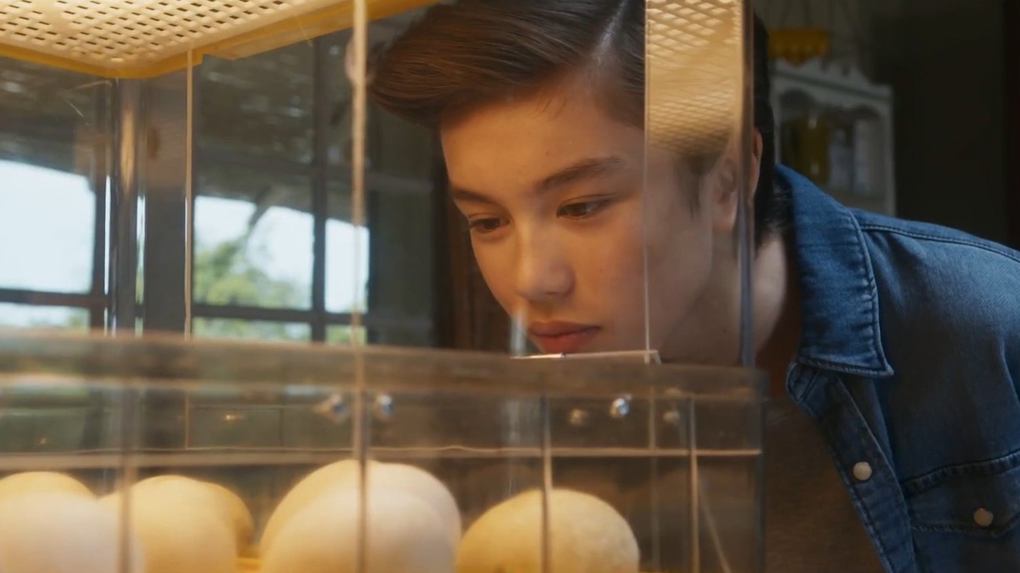 «Расправь крылья» / Donnemoi des ailes / Spread Your Wings (2020