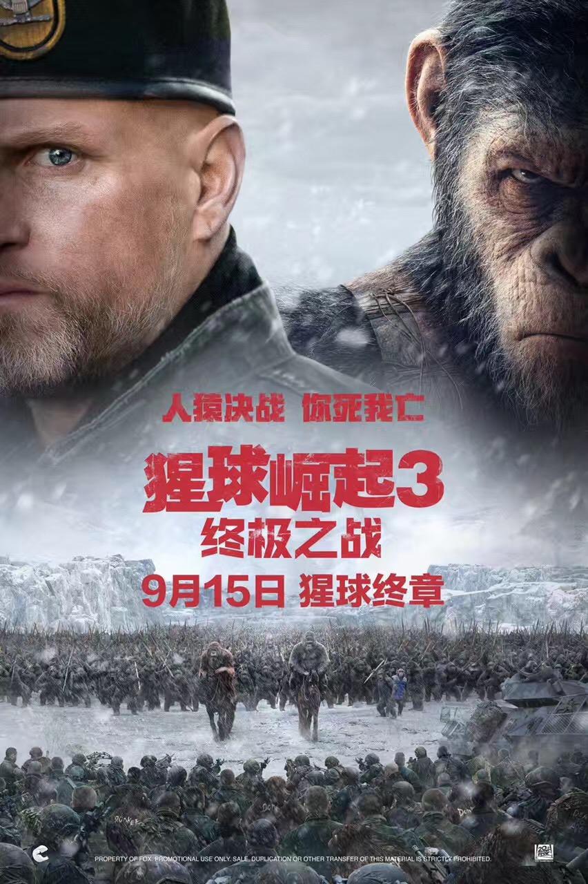 Планета обезьян: Война, постер № 16