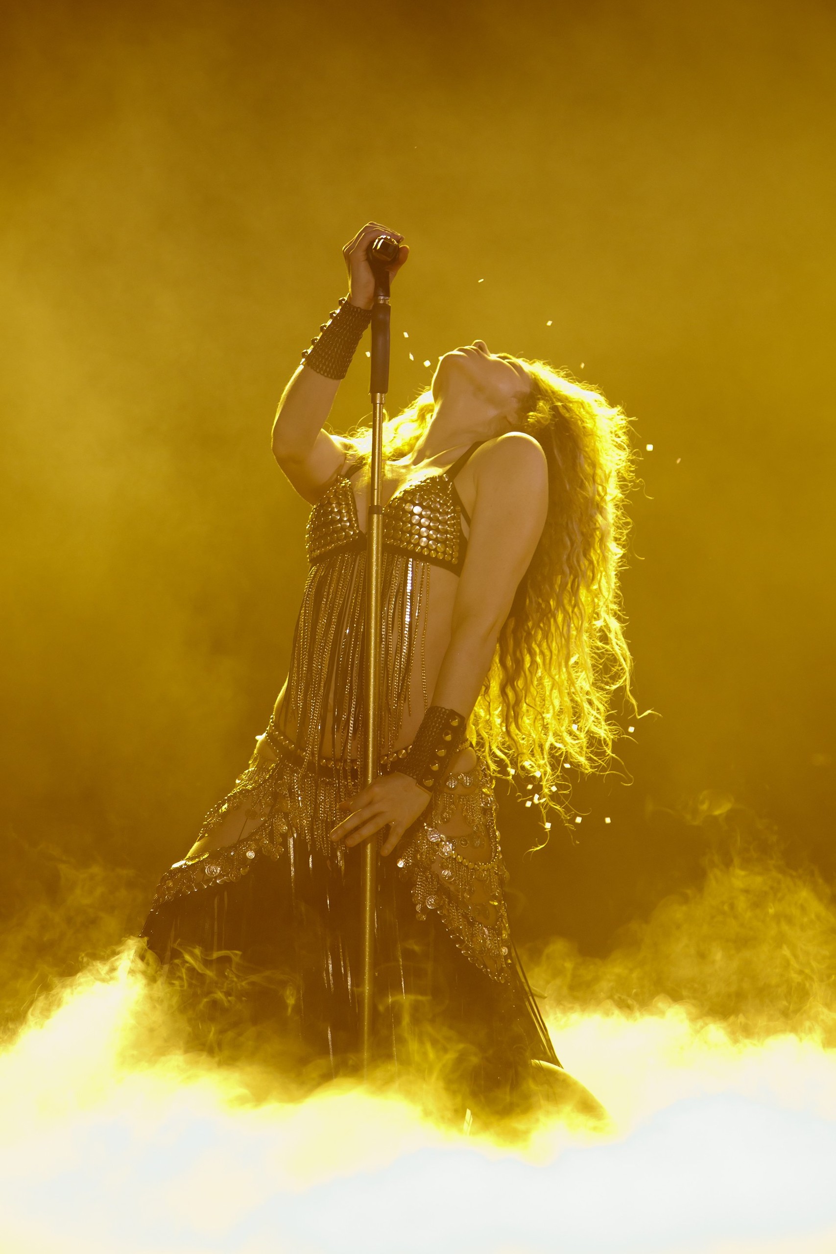Shakira In Concert: El Dorado World Tou, кадр № 10