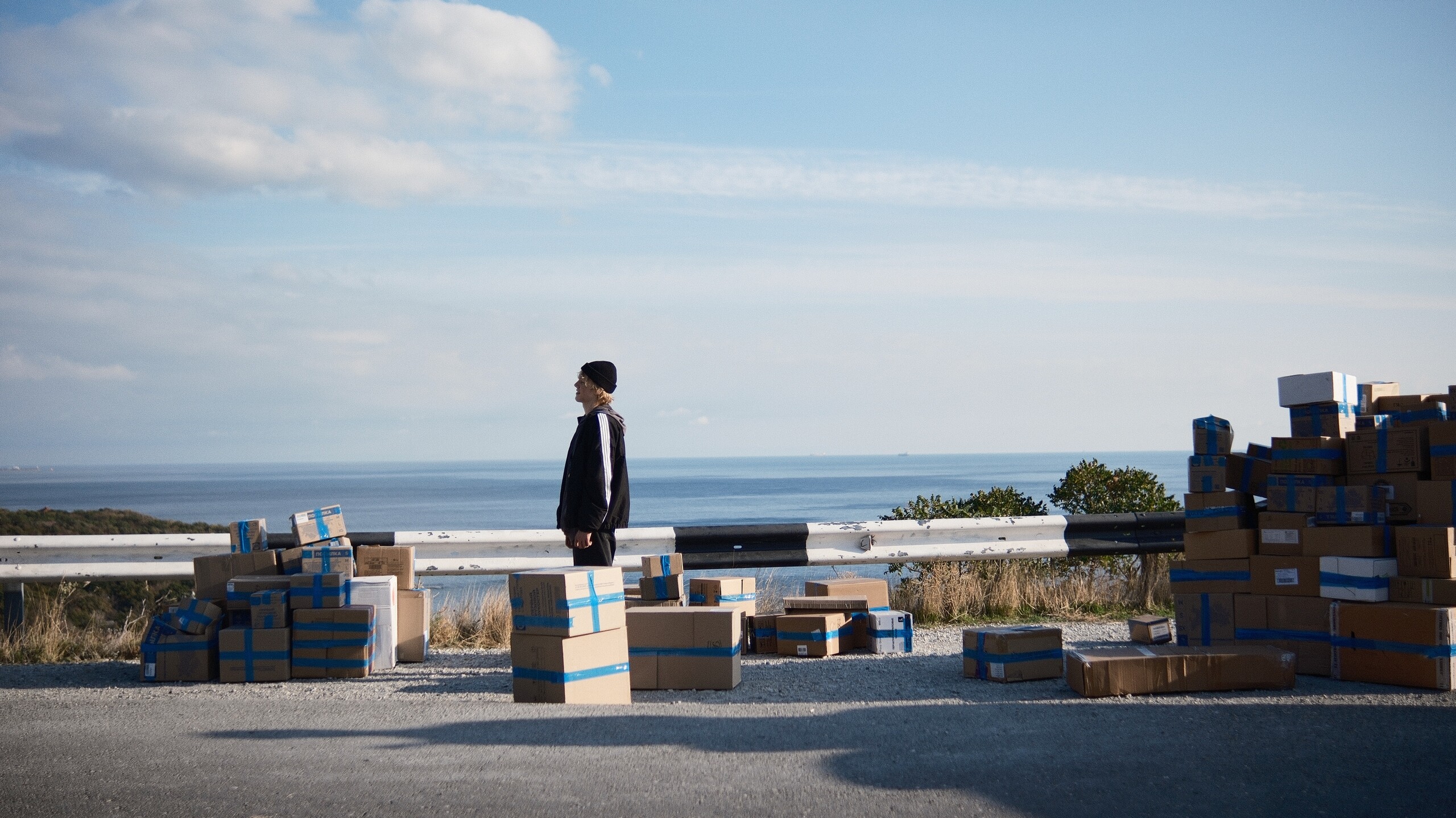 Тюльпаны, кадр № 9