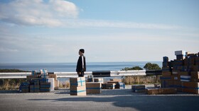 Промо-арт фильма «Тюльпаны» Промо-арт фильма «Тюльпаны»