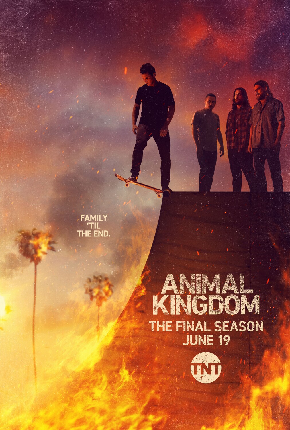 Сериал «По волчьим законам» / Animal Kingdom (2016) — трейлеры, дата выхода  | КГ-Портал