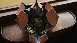 Кадры из сериала «Гарри Поттер» Кадры из сериала «Гарри Поттер»