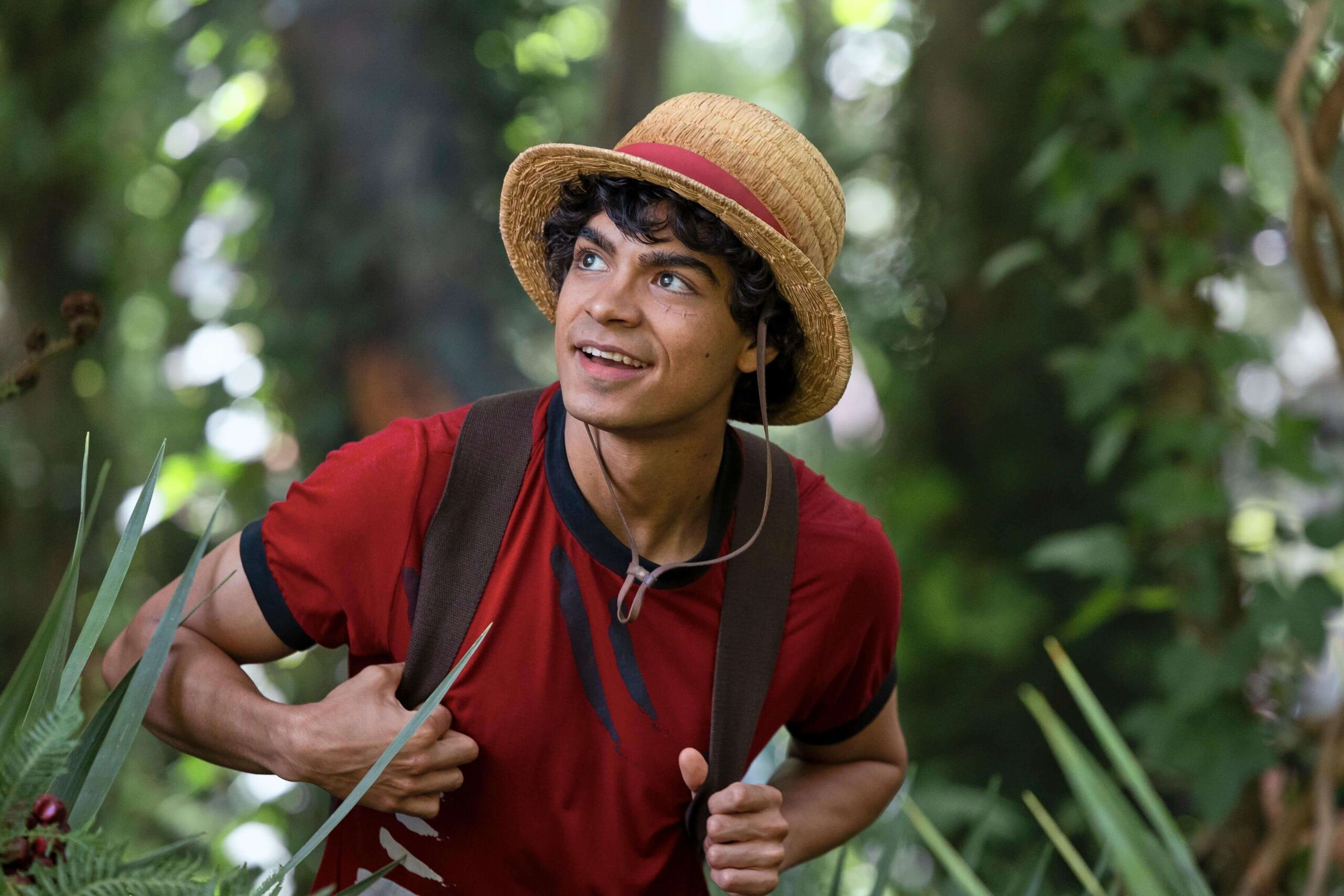 Ван-Пис, кадр № 35