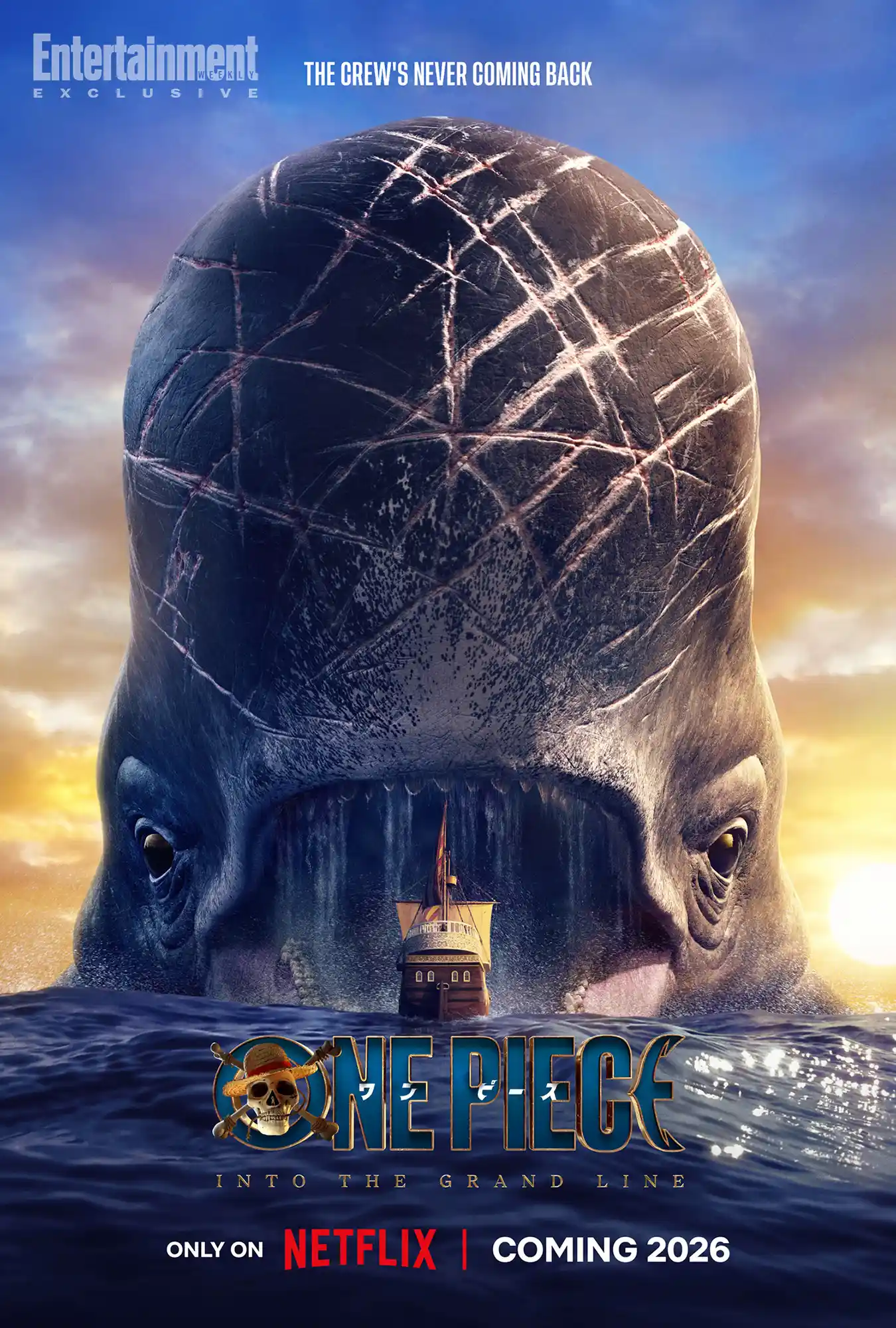 Ван-Пис, постер № 13