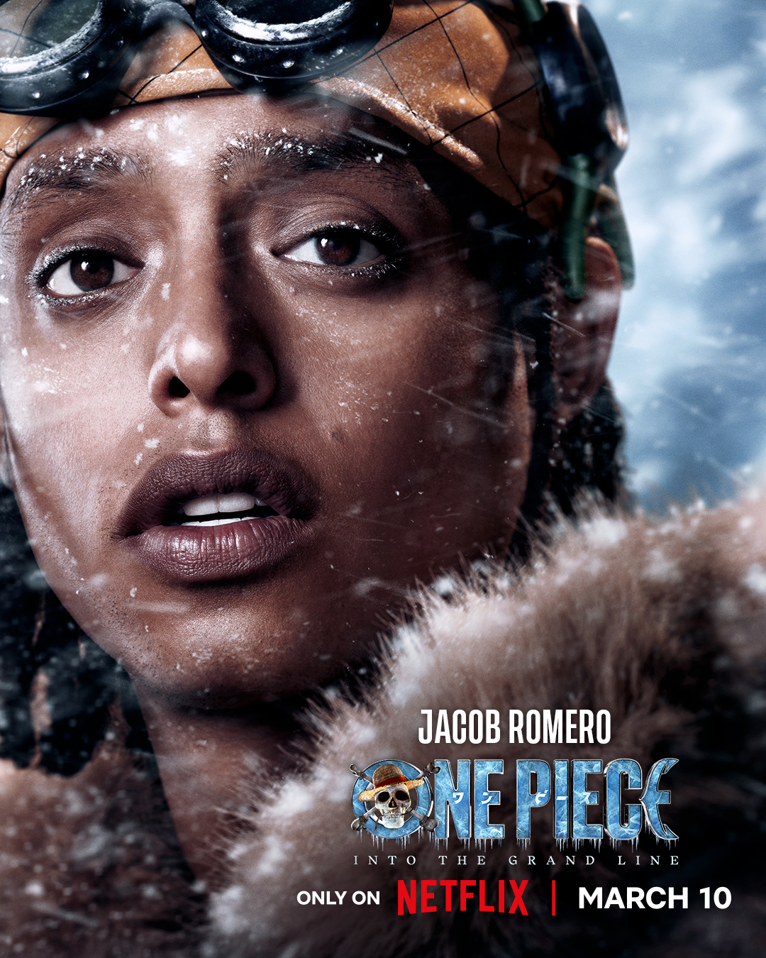 Ван-Пис, постер № 28