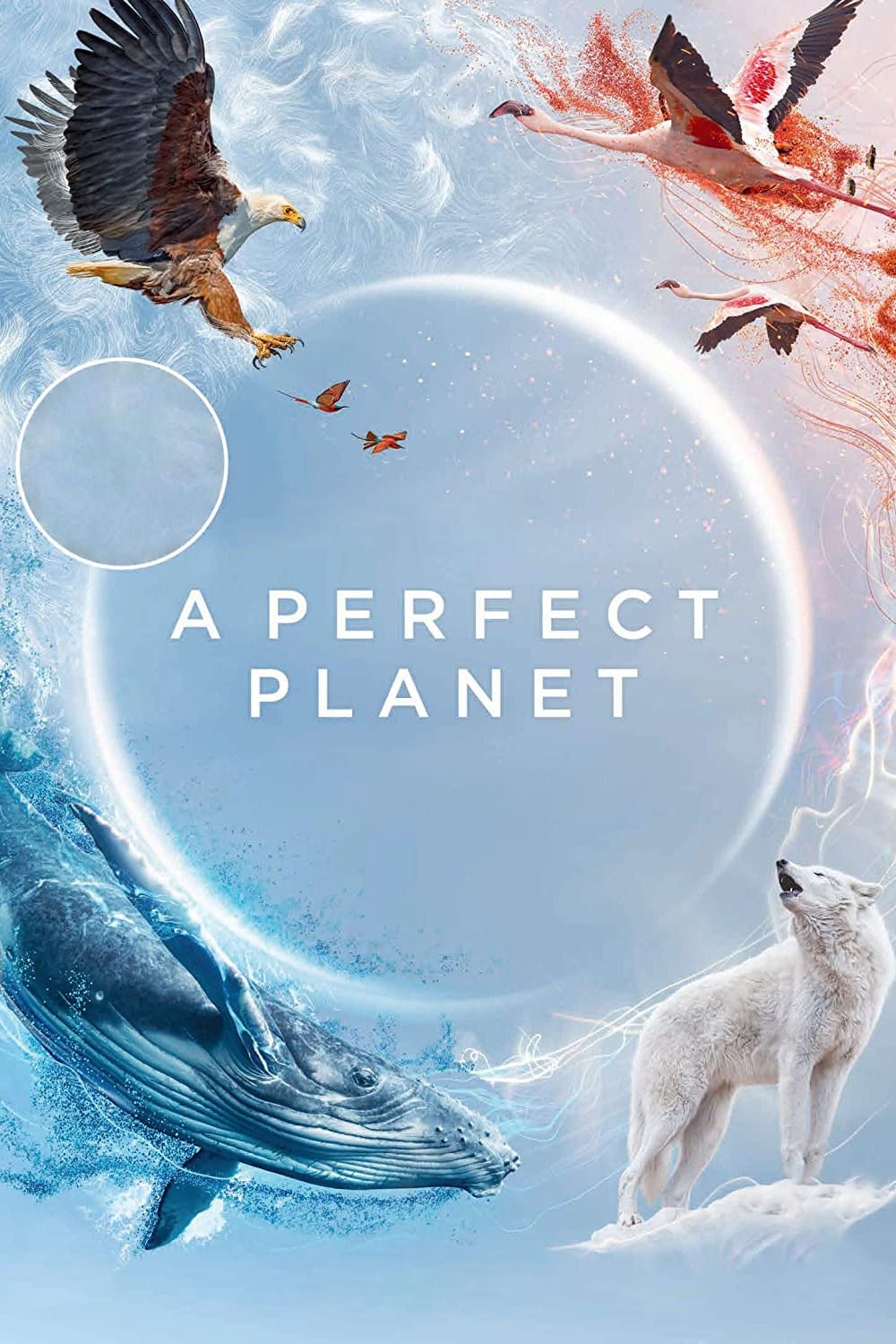 Идеальная планета, постер № 2