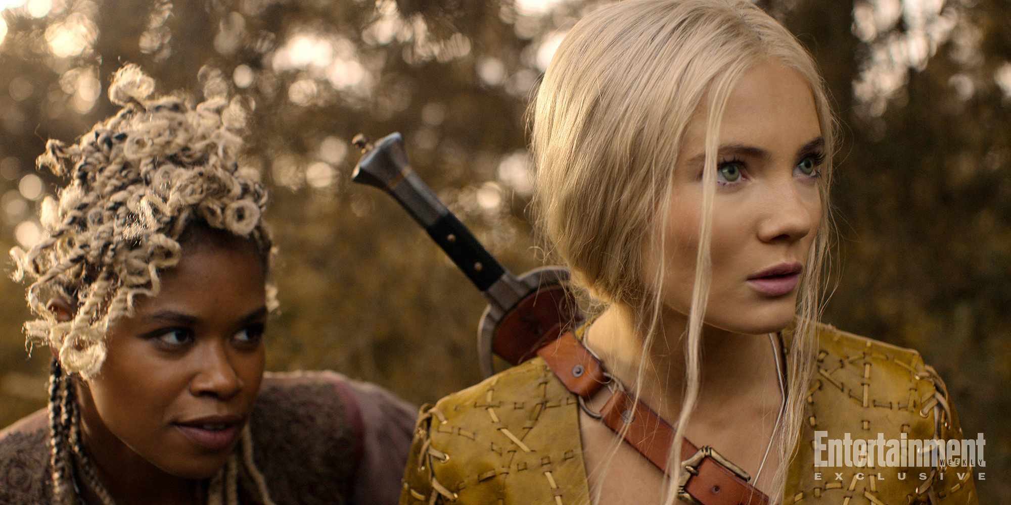 Ведьмак, кадр № 228