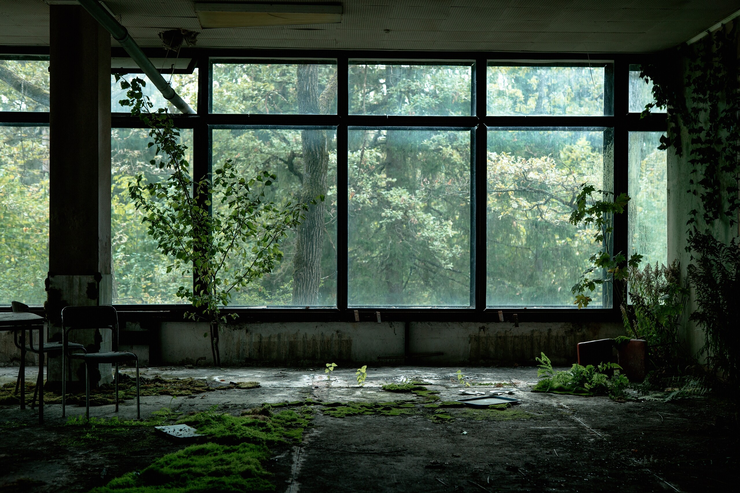 Вегетация, кадр № 14