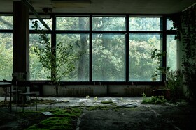 Промо-арт сериала «Вегетация»