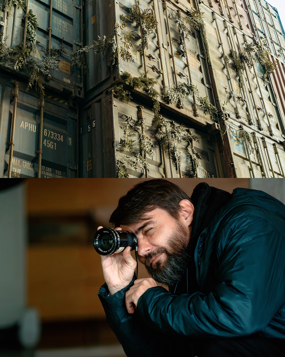 Вегетация, кадр № 2