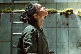 Промо-арт сериала «Вегетация»